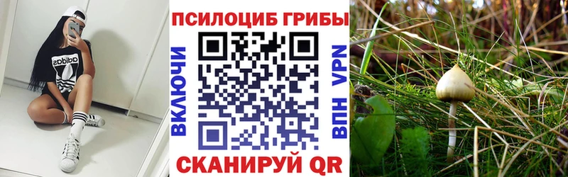 Галлюциногенные грибы MAGIC MUSHROOMS  Новоуральск 